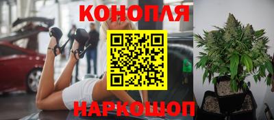 PSILOCYBIN Кунгур