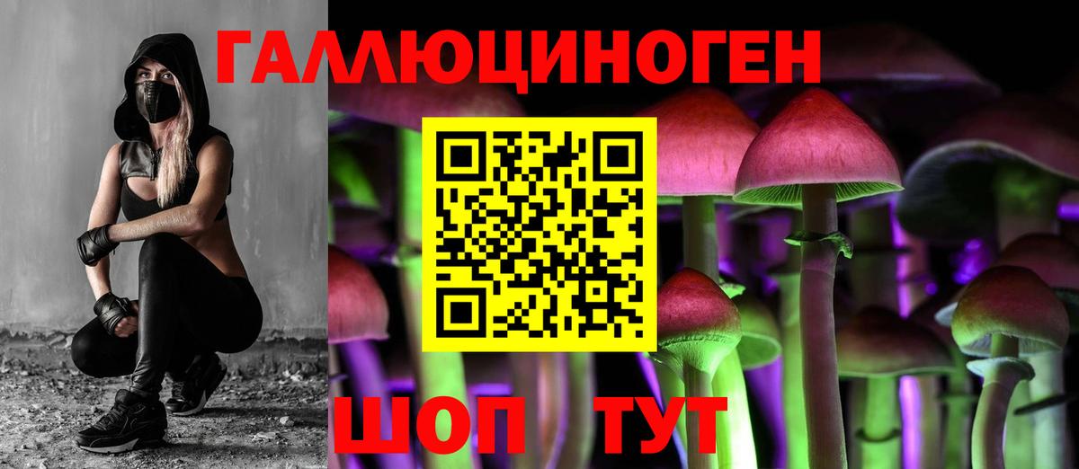 Псилоцибиновые грибы прущие грибы  Вход с VPN  Касимов 